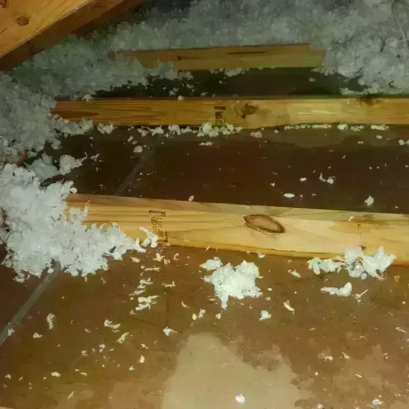 Attic Water Damage in Roxana, IL