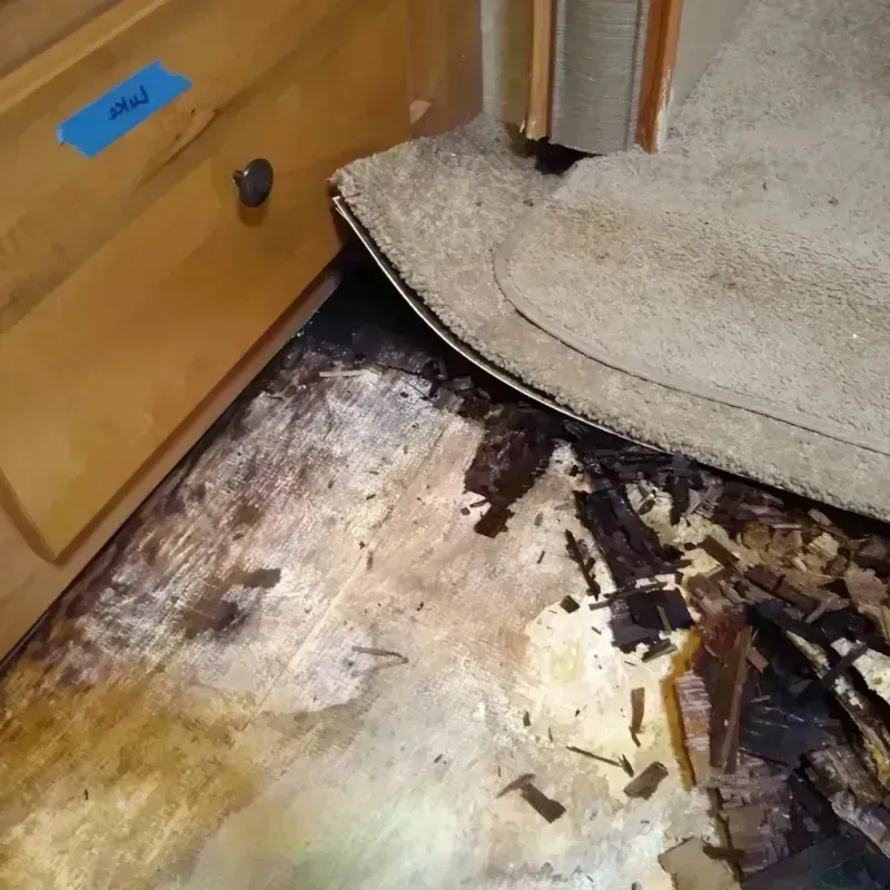 Wood Floor Water Damage in Roxana, IL